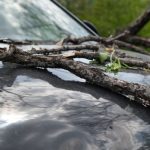 car with broken branches on hood from storm